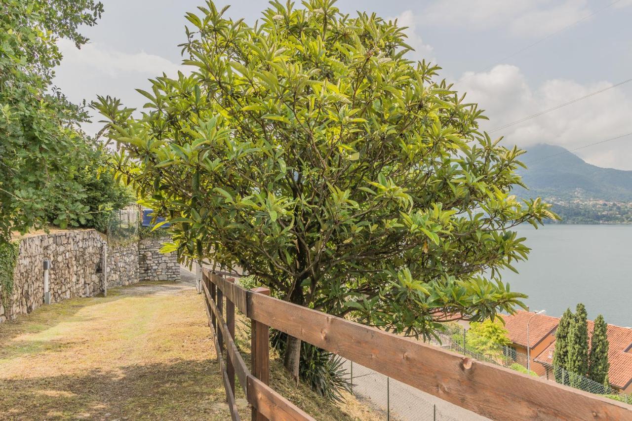 Villa Lisander Varenna Esterno foto